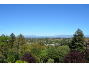 Palo Alto Hills 2